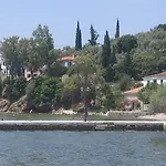 Giotas -